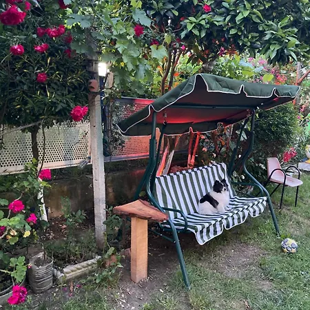 Hill Of San Pietro *