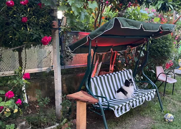 Hill Of San Pietro *