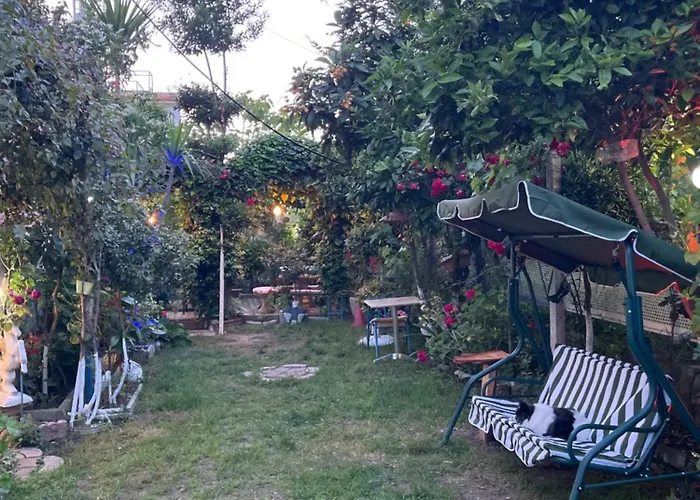 Hill Of San Pietro Villa